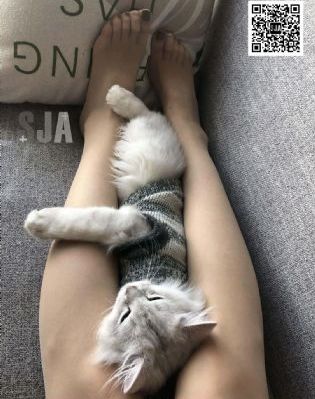午夜影院入口_BD英语免费观看